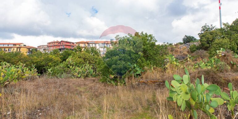 20251023201014-995689-4