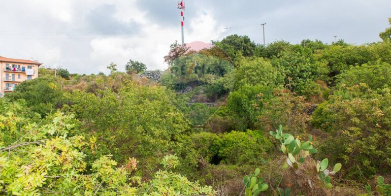 20251023201020-995689-6