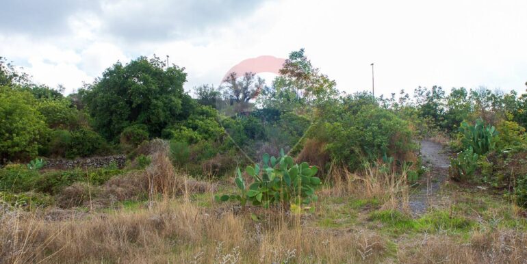 20251023201024-995689-7