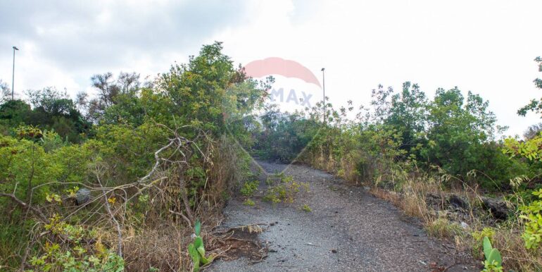 20251023201030-995689-9