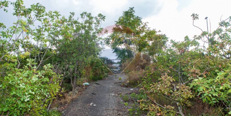 20251023201035-995689-10