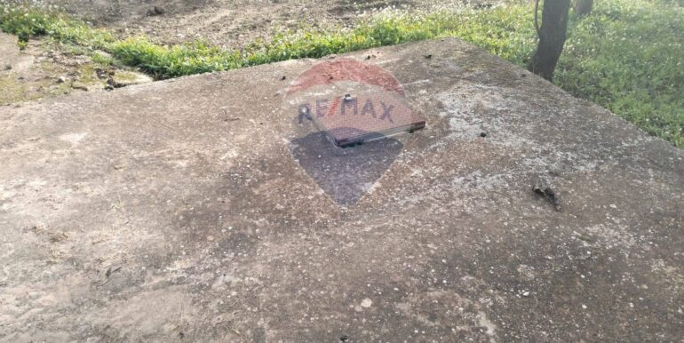 20251023222350-995701-3