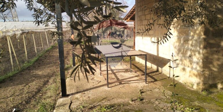 20251023222351-995701-12