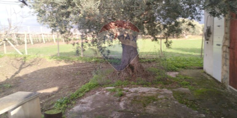 20251023222351-995701-6