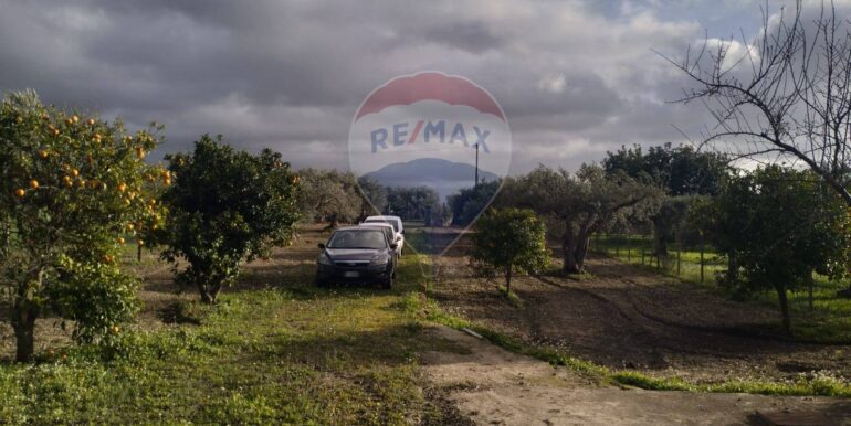 20251023222351-995701-7