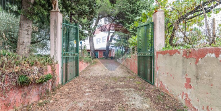 20251026215623-987093-1