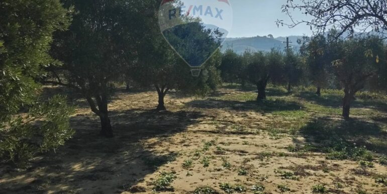 20251027132623-996271-3