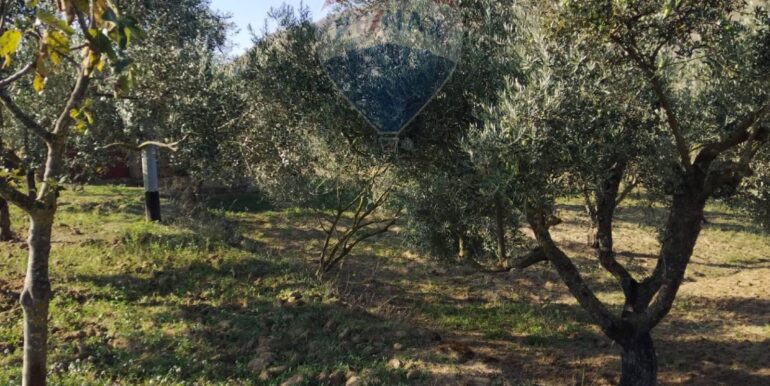 20251027132629-996271-5