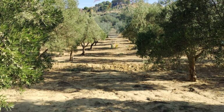 20251027132636-996271-7