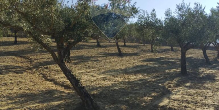 20251027132651-996271-12