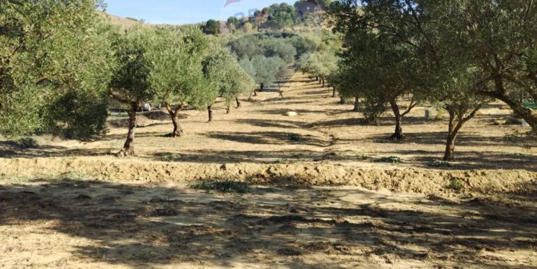 20251027132654-996271-13