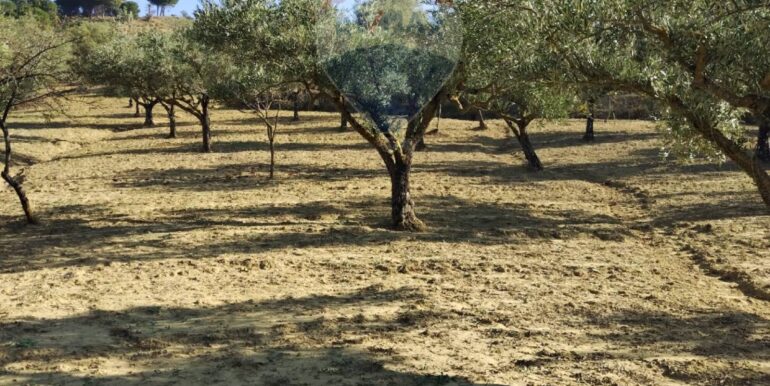 20251027132658-996271-14