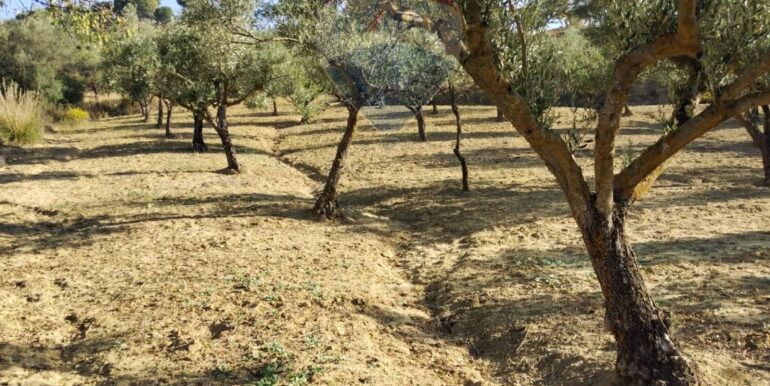 20251027132701-996271-15