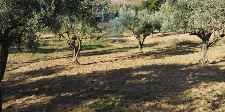 20251027132705-996271-16