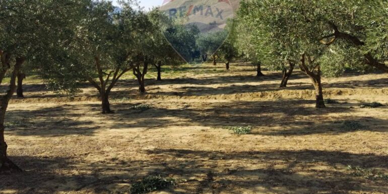 20251027132715-996271-19