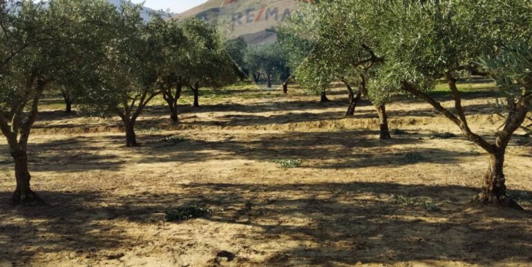 20251027132719-996271-20