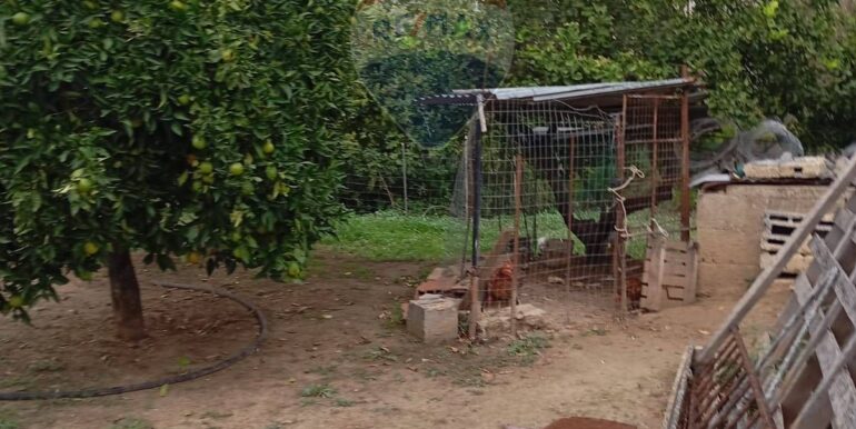 20251027143123-996269-9