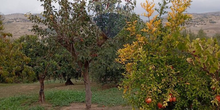 20251027143126-996269-10