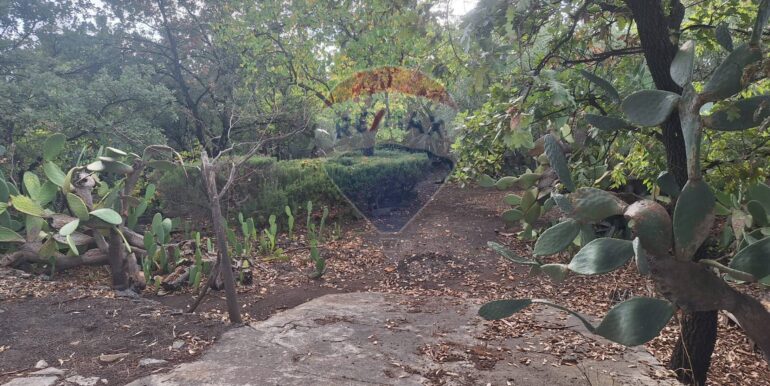 20251027162401-996313-1