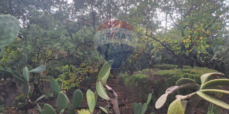 20251027162405-996313-2