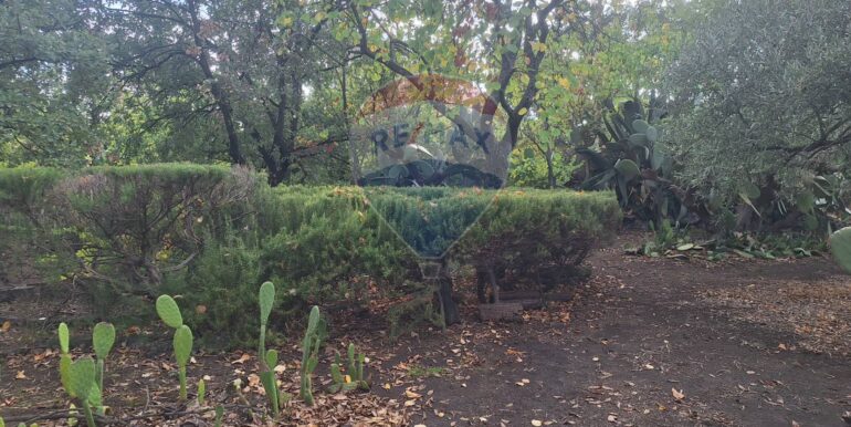 20251027162409-996313-3