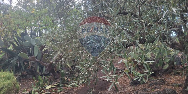 20251027162424-996313-7