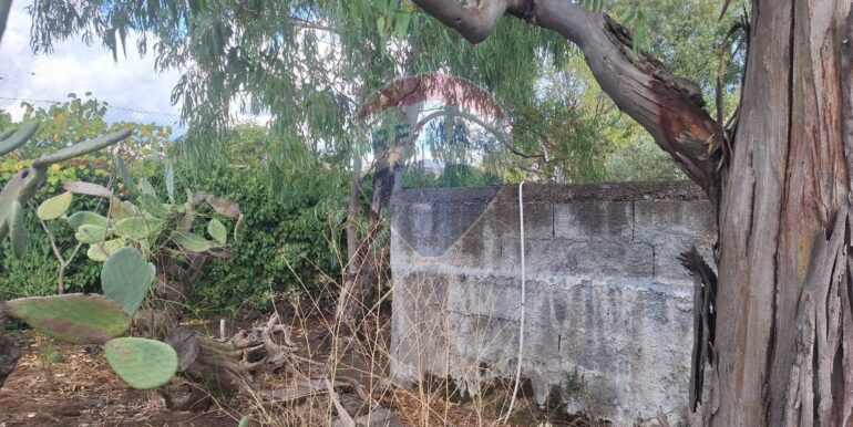 20251027162428-996313-8