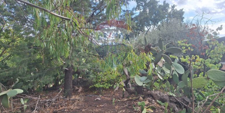 20251027162432-996313-9