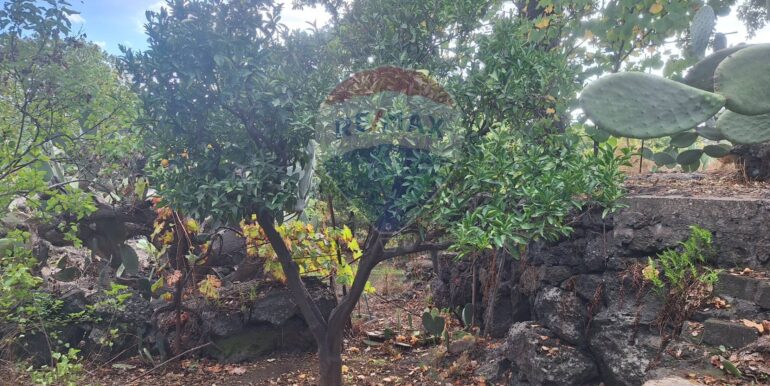 20251027162439-996313-11