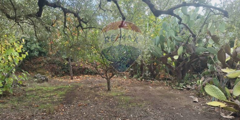 20251027162443-996313-12