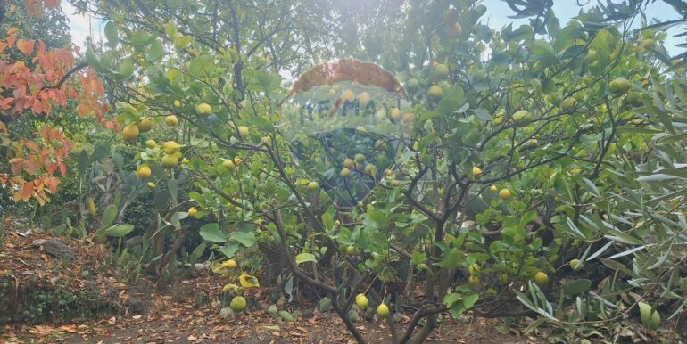 20251027162447-996313-13