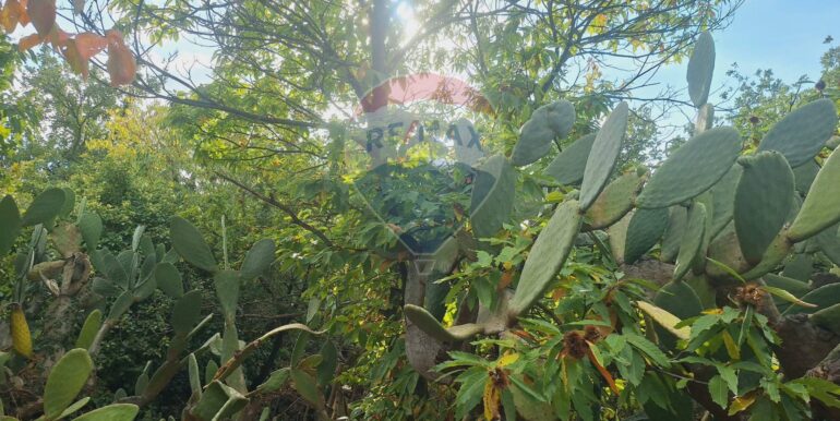 20251027162450-996313-14