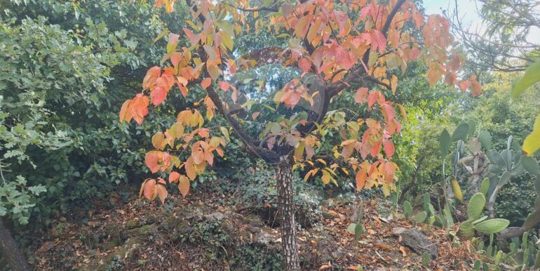 20251027162454-996313-15