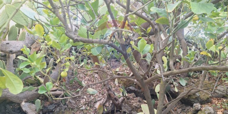 20251027162458-996313-16