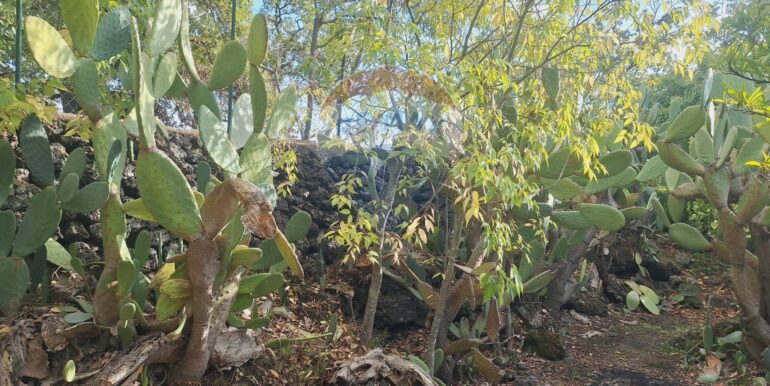 20251027162506-996313-18