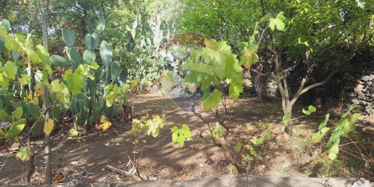 20251027162509-996313-19