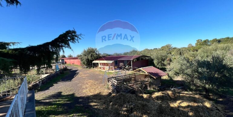 20251028175542-996791-1