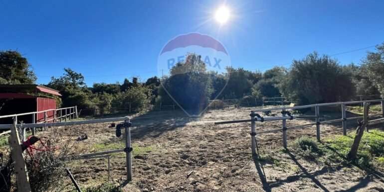 20251028175554-996791-3