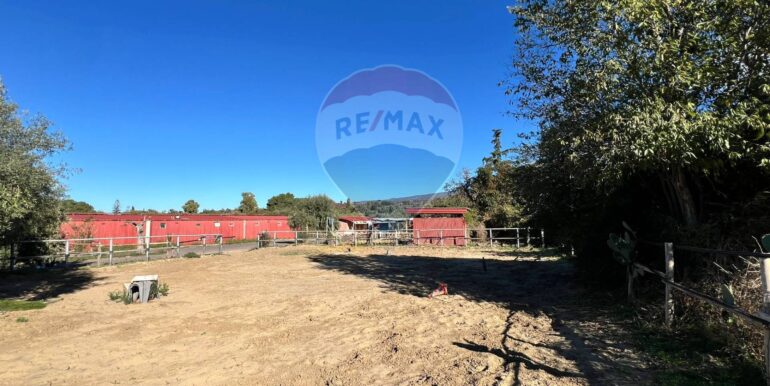 20251028175628-996791-10