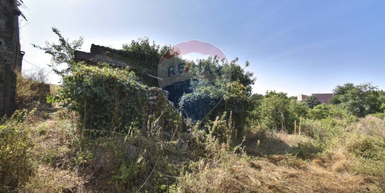 20251029101854-996855-14