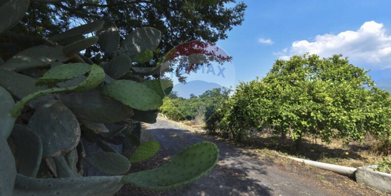 20251029104034-996863-7