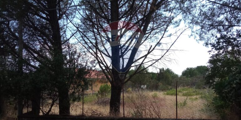 20251029120327-996910-5