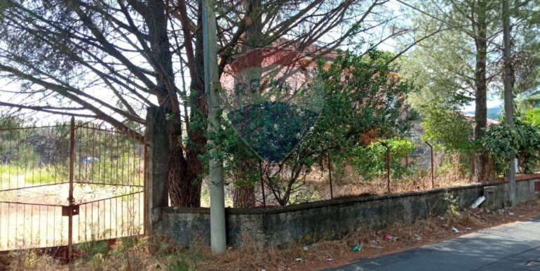 20251029120341-996910-7