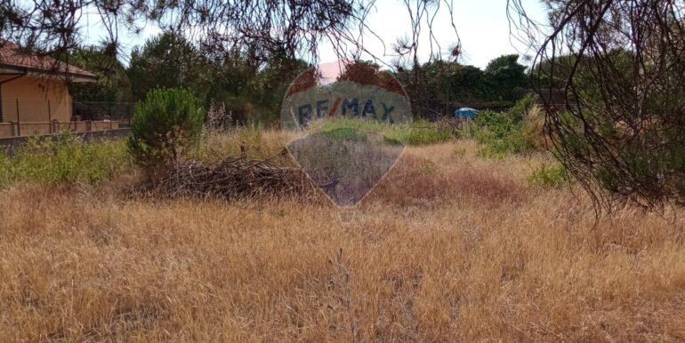 20251029120349-996910-8