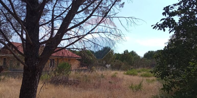 20251029120357-996910-9