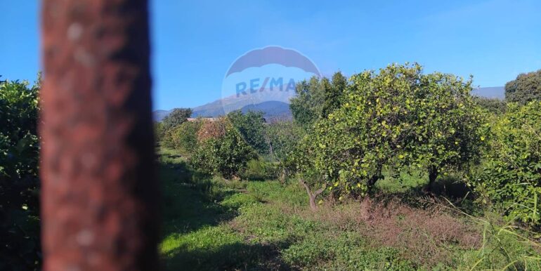 20251030192403-997362-6