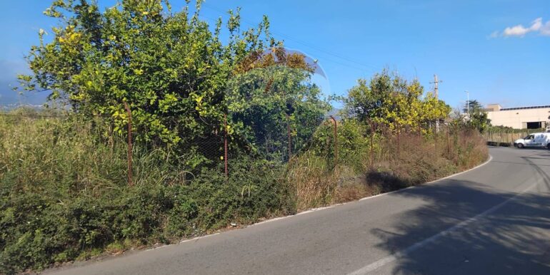 20251030192427-997362-14