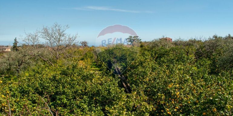 20251030220842-997381-2