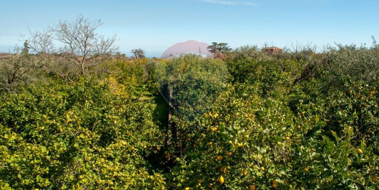 20251030220848-997381-4