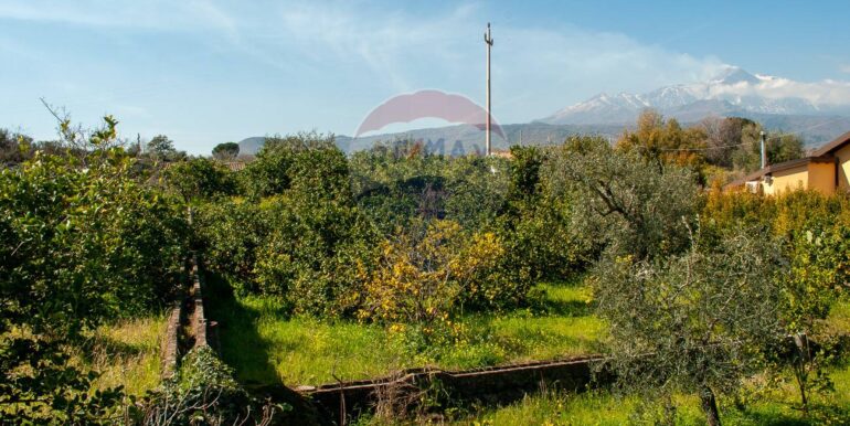 20251030220902-997381-9